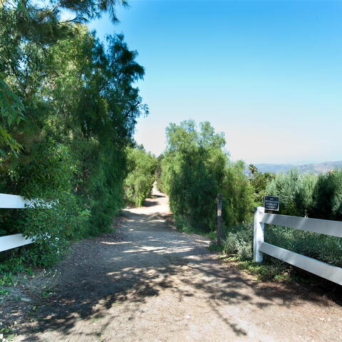 177 N Singingwood Street #22 Listing Image Thumbnail #22
