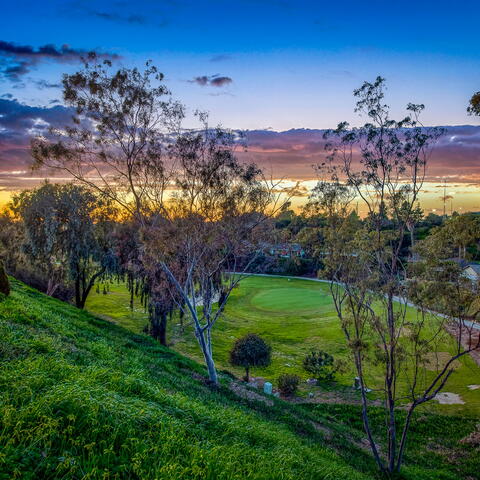 419 VIA MONTEGO Listing Image Thumbnail #5