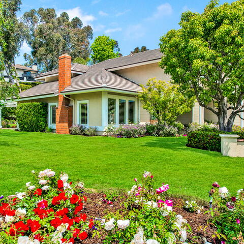 9741 Norfolk Drive Listing Image Thumbnail #2