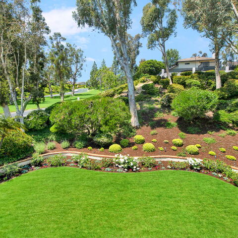 9741 Norfolk Drive Listing Image Thumbnail #25