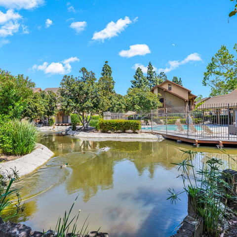 326 Tangelo #323 Listing Image Thumbnail #17