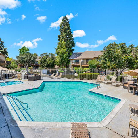 326 Tangelo #323 Listing Image Thumbnail #20