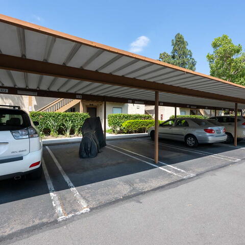 326 Tangelo #323 Listing Image Thumbnail #19