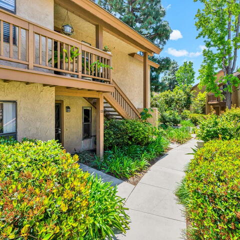 326 Tangelo #323 Listing Image Thumbnail #1
