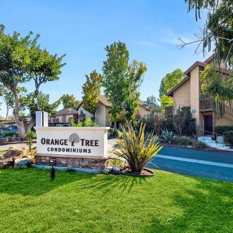 326 Tangelo #323 Listing Image Thumbnail #15