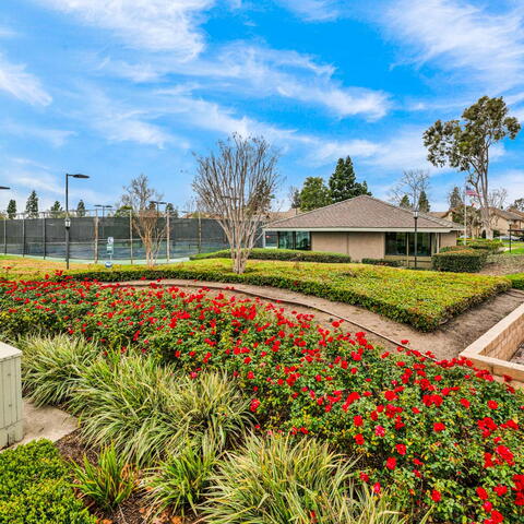 326 Tangelo #323 Listing Image Thumbnail #22