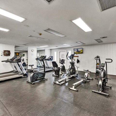 326 Tangelo #323 Listing Image Thumbnail #23