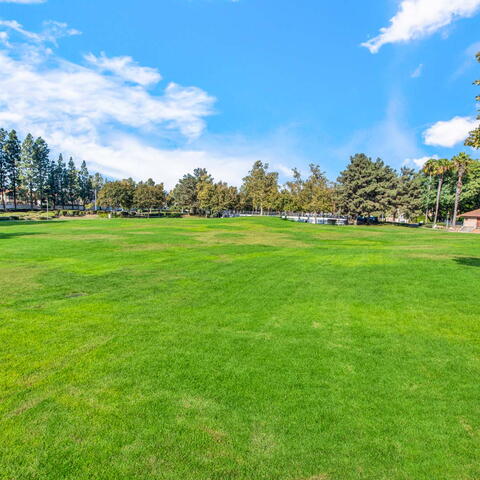 13071 Arborwalk Lane Listing Image Thumbnail #28
