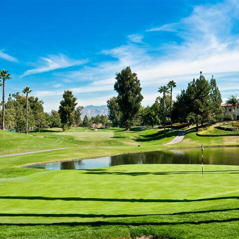 12695 Nicklaus Lane Listing Image Thumbnail #23