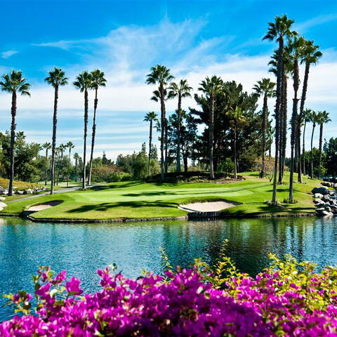 12695 Nicklaus Lane Listing Image Thumbnail #24