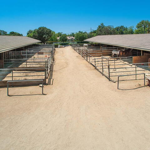 1607 N Dressage Street Listing Image Thumbnail #28