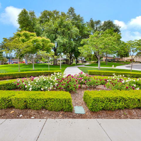 1802 N Shaffer Street Listing Image Thumbnail #22