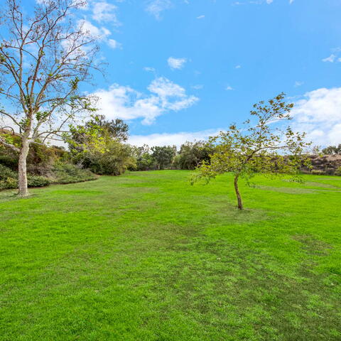 19138 Alamo Lane #158 Listing Image Thumbnail #20