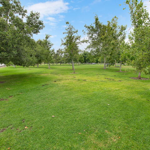 304 Calle Baja Listing Image Thumbnail #30