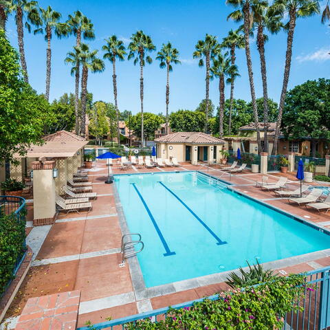 2800 Keller Drive #242 Listing Image Thumbnail #15